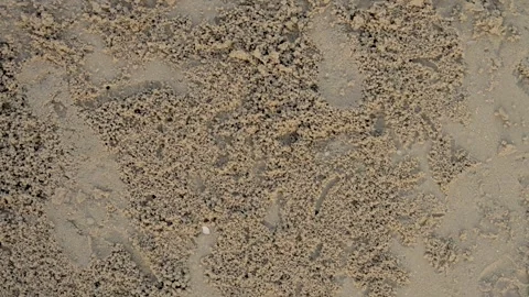 Close-Up View of Natural Sand Texture with Varied Grain Size, Unique Patter.. Stock Footage 332894331