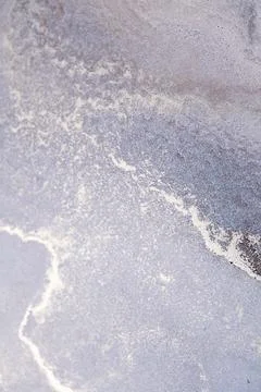 A close-up view of a natural, textured surface featuring a silver-white line Stock Photos