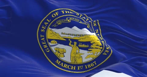 Close-up view of the Nebraska state flag waving Stock Footage 209235984