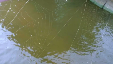 Close up view of net in focus with water surface on backgorund Stock Footage 95681390