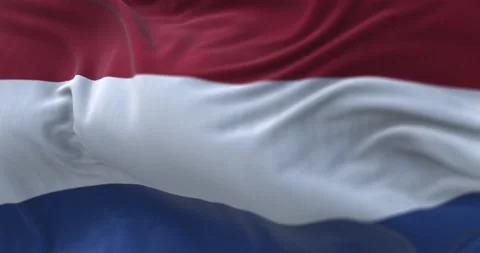 Close-up view of the Netherlands national flag waving in the wind. The Nether Stock Footage 202038363