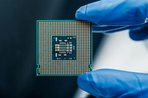 Close-up view on a new semiconductor microchip in gloved hand of computer Stock Photos