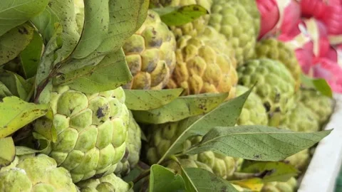Close view of numerous sugar apples arranged in a dense heap on a vendor stall Stock Footage 330345041