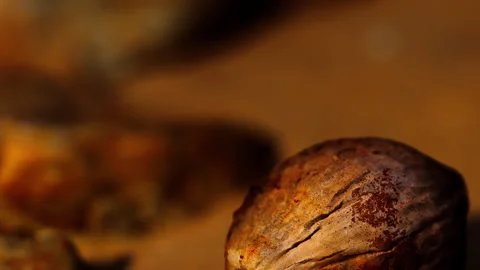 Close view of a nut resting on a sandy surface with background details Stock Footage 340029630