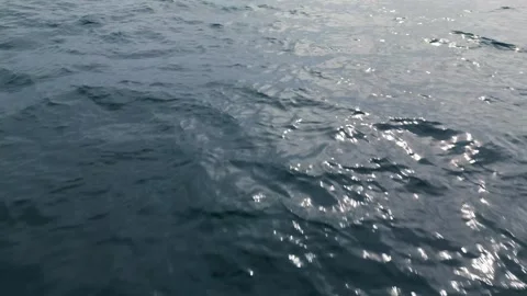 Close-up view of ocean surface with gentle ripples and sunlight reflections Stock Footage 305252562