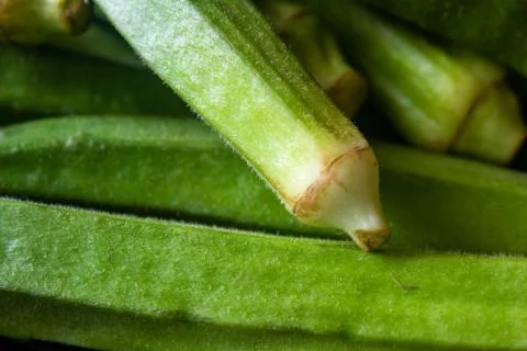 Close view of the okra vegetable (also called as ladies finger). Stock Photos