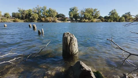 Close view of old dock posts on a river shore Stock Footage 259351861