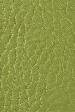 Close-up view of olive green textured leather surface with a pebbled grain .. Stock Photos