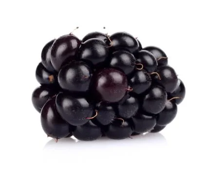 Close up view of one fresh blackberries isolated on white background Stock Photos