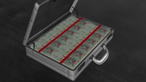 Close-up view of an open metallic briefcase filled with neatly stacked 1 Ku.. Stock Footage 318394790