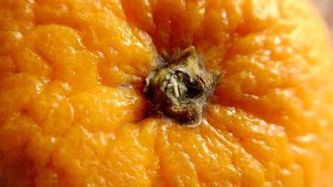 A close-up view of an orange from above Stock Photos