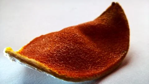 Close up view of orange bark Stock Photos