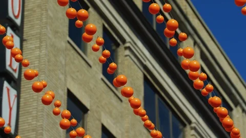 Close up view of orange garlands Stock Footage 99913785