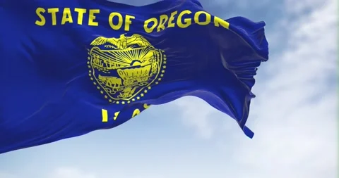 Close up view of the Oregon state flag waving on a clear day Stock-Footage 224917377