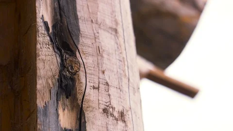 Close-up view of the original and unusual wooden log of rural house on bright Stock Footage 121994751