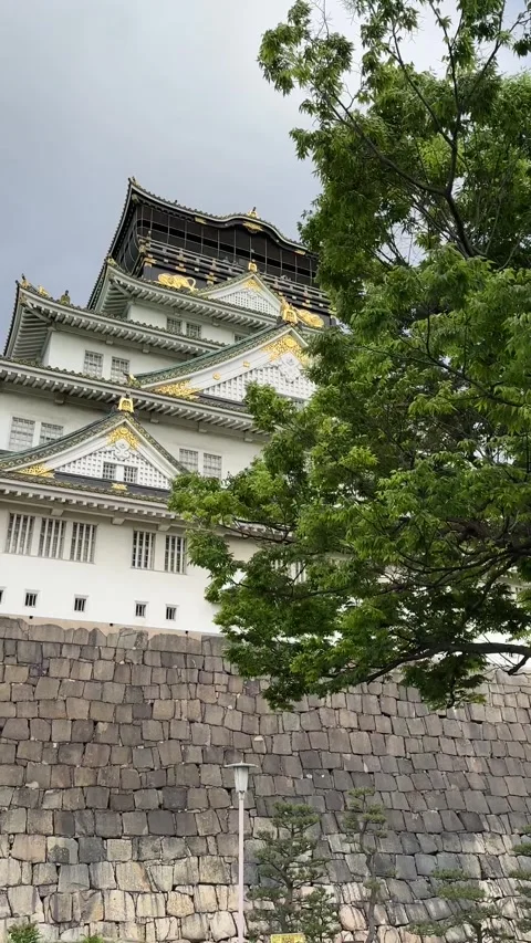 Close view of Osaka Castle - Osaka, Japan on May 08, 2024. Stock Footage 314562095