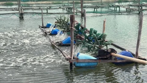 Close view of paddle wheel blades cutting through pond water in slow motion Stock Footage 323077549