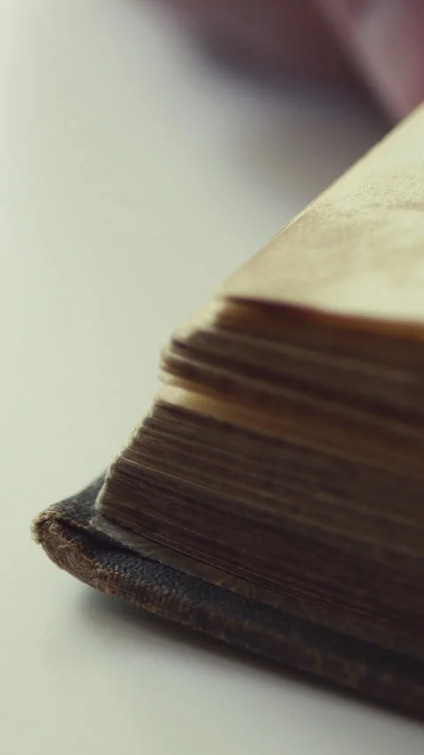 A Close-Up View Of Pages Being Turned In An Old Book, Highlighting The Textured  Stock Footage 312981320