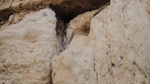 Close up view of papers in a cracks of Wailing Wall or Western Wall in Jerusalem Stock Footage 170611677