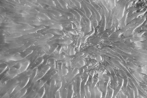 Close-up view pattern of jellyfish in black and white Stock Photos