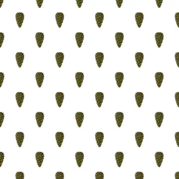 Close up view of pattern pine tree cone isolated on light white background. Stockfoto's