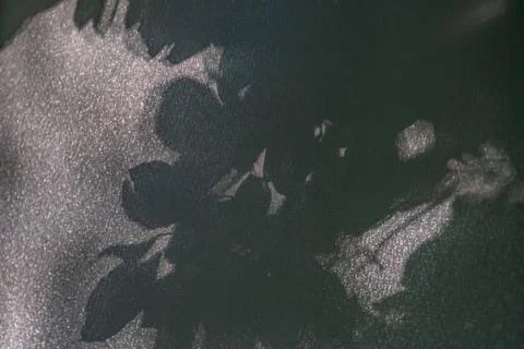 Close-up view of a patterned fabric, featuring a large stenciled floral motif Stock Photos