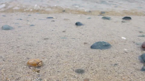 Close-up view of the pebbles, sand and waves at the beach Video stock 48899646