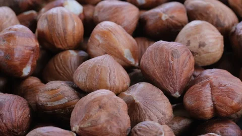 Close up view. Peeled brown hazelnut kernels in heap. Slider shot. Stock Footage 296538422