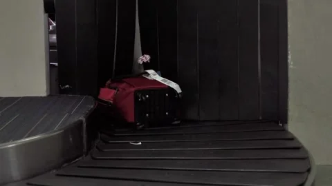 Close-up view of people receiving baggage from baggage carousel in Miami ai.. Stock-Footage 256746568