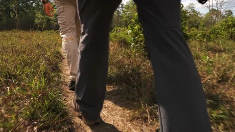 A close view of People walking through grass Stock Footage 94691253