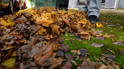 A close-up view of a person’s foot kicking a pile of dry autumn leaves Video stock 293442921