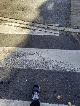 A close-up view of a person's foot stepping onto a crosswalk, showcasing the Stock Photos