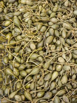 Close up view of pickled caperberries with long stems in brine solution Stock Photos