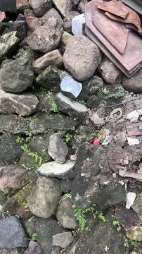 Close view of a pile of irregular rocks, moss patches, and scattered debris i Foto stock