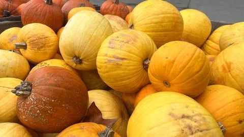 A close-up view of a pile of pumpkins, showcasing the bright orange and yello Stock Photos