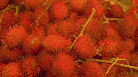 Close-up view of a pile of red rambutans in 4k Stock Footage 282567718