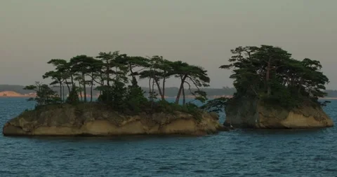 Close-Up View of Pine-Covered Islands in Matsushima Bay, Japan 스톡 동영상 348264288