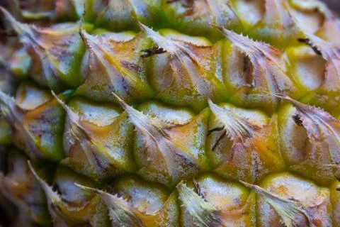 Close view of pineapple skin texture. Stock Photos