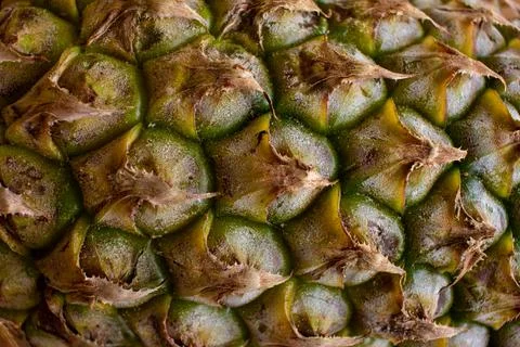 Close view of pineapple skin texture. Fruit background Stock Photos