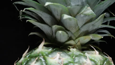 A close-up view of the pineapple, from top to bottom. Rotation on a black 스톡 동영상 221974117