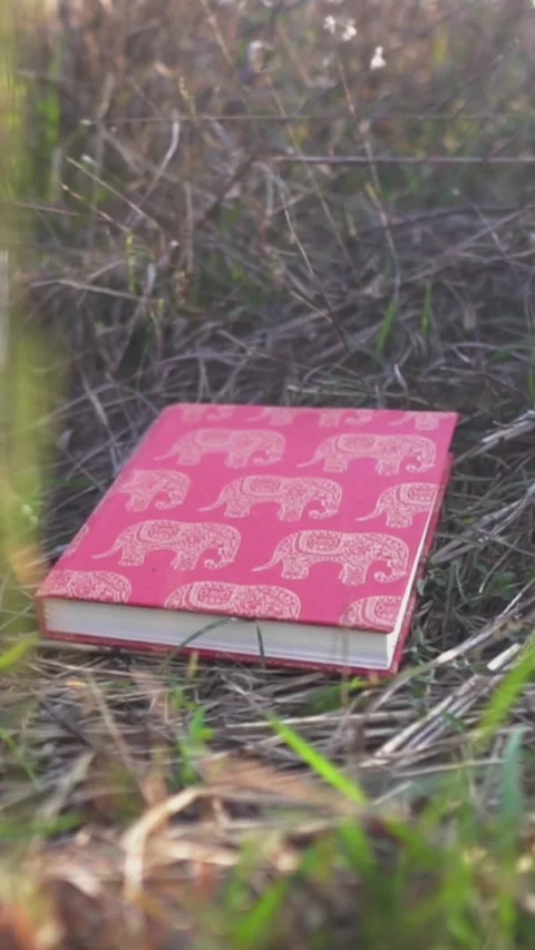 A close-up view of a pink elephant-patterned book resting in the grass outdoors Stock Footage 306277479