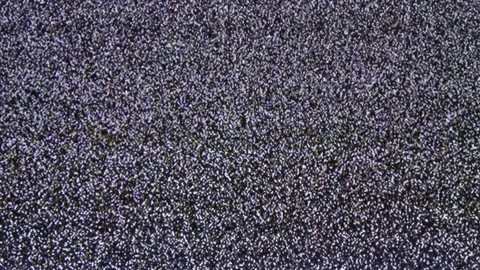 Close up view at a plasma tv while showing white noise activity. Stock Footage 150028646