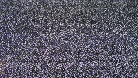 Close up view at a plasma tv while showing television activity. Stock Footage 164335248
