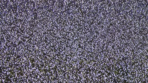 Close up view at a plasma tv while showing television white noise. Stock Footage 205204748