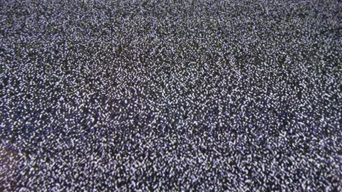 Close up view at a plasma tv while showing television activity Stock Footage 346328923