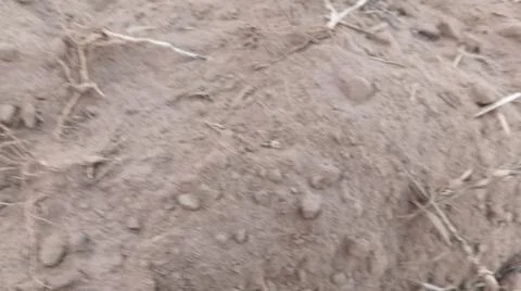 Close Up View of Plowed Soil and Tire Tracks on Field Ground Stock-Fotos