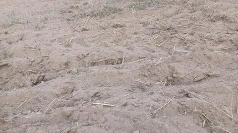 Close Up View of Plowed Soil and Tire Tracks on Field Ground Fotos de archivo