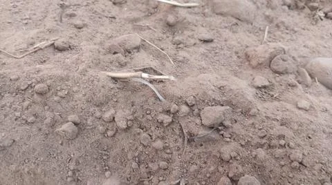 Close Up View of Plowed Soil and Tire Tracks on Field Ground Fotos de archivo