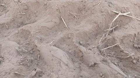 Close Up View of Plowed Soil and Tire Tracks on Field Ground Foto stock
