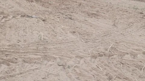 Close Up View of Plowed Soil and Tire Tracks on Field Ground Stock Photos
